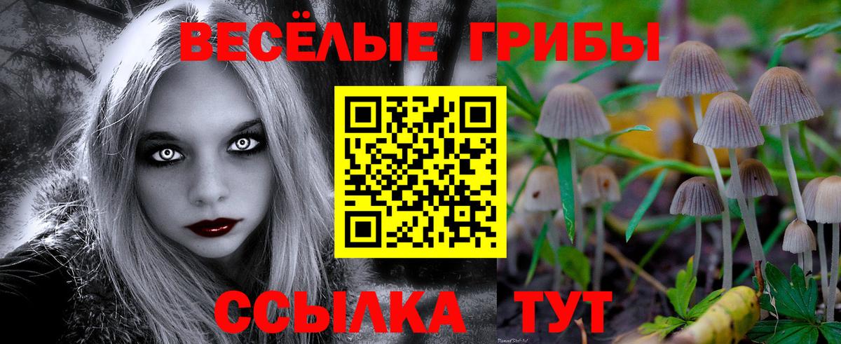 Галлюциногенные грибы Cubensis  Вход с VPN  Сафоново  Галлюциногенные грибы мицелий 